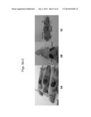 ERYTHROPOIETIN AND FIBRONECTIN COMPOSITIONS FOR THERAPEUTIC AND COSMETIC     APPLICATIONS diagram and image