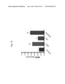 ERYTHROPOIETIN AND FIBRONECTIN COMPOSITIONS FOR THERAPEUTIC AND COSMETIC     APPLICATIONS diagram and image