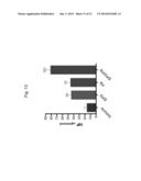 ERYTHROPOIETIN AND FIBRONECTIN COMPOSITIONS FOR THERAPEUTIC AND COSMETIC     APPLICATIONS diagram and image