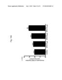 ERYTHROPOIETIN AND FIBRONECTIN COMPOSITIONS FOR THERAPEUTIC AND COSMETIC     APPLICATIONS diagram and image