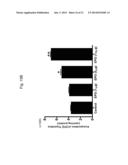 ERYTHROPOIETIN AND FIBRONECTIN COMPOSITIONS FOR THERAPEUTIC AND COSMETIC     APPLICATIONS diagram and image