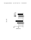 ERYTHROPOIETIN AND FIBRONECTIN COMPOSITIONS FOR THERAPEUTIC AND COSMETIC     APPLICATIONS diagram and image