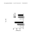 ERYTHROPOIETIN AND FIBRONECTIN COMPOSITIONS FOR THERAPEUTIC AND COSMETIC     APPLICATIONS diagram and image