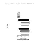 ERYTHROPOIETIN AND FIBRONECTIN COMPOSITIONS FOR THERAPEUTIC AND COSMETIC     APPLICATIONS diagram and image