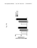 ERYTHROPOIETIN AND FIBRONECTIN COMPOSITIONS FOR THERAPEUTIC AND COSMETIC     APPLICATIONS diagram and image