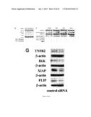 Methods and Compositions for Improved Tissue Regeneration by Suppression     of Interferon-Gamma and Tumor Necrosis Factor-Alpha diagram and image