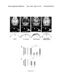 Methods and Compositions for Improved Tissue Regeneration by Suppression     of Interferon-Gamma and Tumor Necrosis Factor-Alpha diagram and image