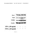 Methods and Compositions for Improved Tissue Regeneration by Suppression     of Interferon-Gamma and Tumor Necrosis Factor-Alpha diagram and image