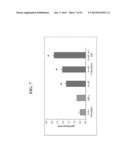 ISOLATED CELLS AND POPULATIONS COMPRISING SAME FOR THE TREATMENT OF CNS     DISEASES diagram and image