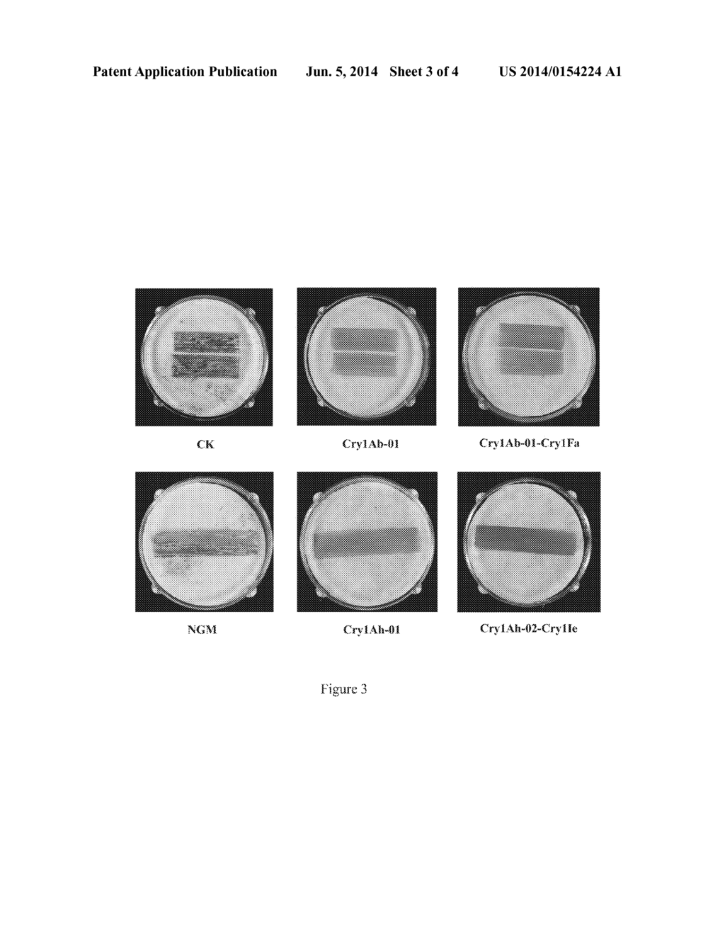 Method of Pest Control - diagram, schematic, and image 04