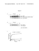 RECOMBINANT IMMUNOTOXIN TARGETING MESOTHELIN diagram and image