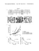 RECOMBINANT IMMUNOTOXIN TARGETING MESOTHELIN diagram and image