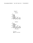 RECOMBINANT IMMUNOTOXIN TARGETING MESOTHELIN diagram and image