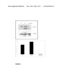 Use of TAK1 Inhibitor to Achieve Glycemic Control in Mammals diagram and image