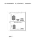 Use of TAK1 Inhibitor to Achieve Glycemic Control in Mammals diagram and image