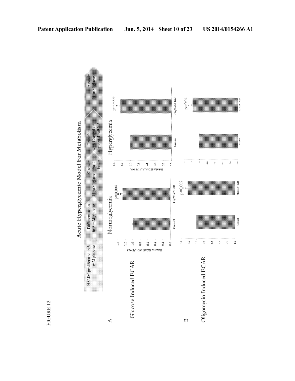 METHODS OF TREATING A METABOLIC SYNDROME BY MODULATING HEAT SHOCK PROTEIN     (HSP) 90-BETA - diagram, schematic, and image 11