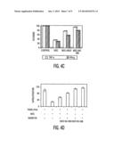 Mesenchymal Stem Cells and Uses Therefor diagram and image