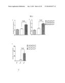 Pharmaceutical Compositions Comprising Soluble CD137 diagram and image