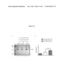 Pharmaceutical Compositions Comprising Soluble CD137 diagram and image