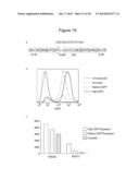 Pharmaceutical Compositions Comprising Soluble CD137 diagram and image