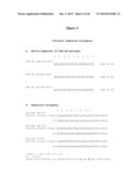 CONJUGATES UTILIZING PLATFORM TECHNOLOGY FOR STIMULATING IMMUNE RESPONSE diagram and image