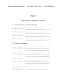 CONJUGATES UTILIZING PLATFORM TECHNOLOGY FOR STIMULATING IMMUNE RESPONSE diagram and image