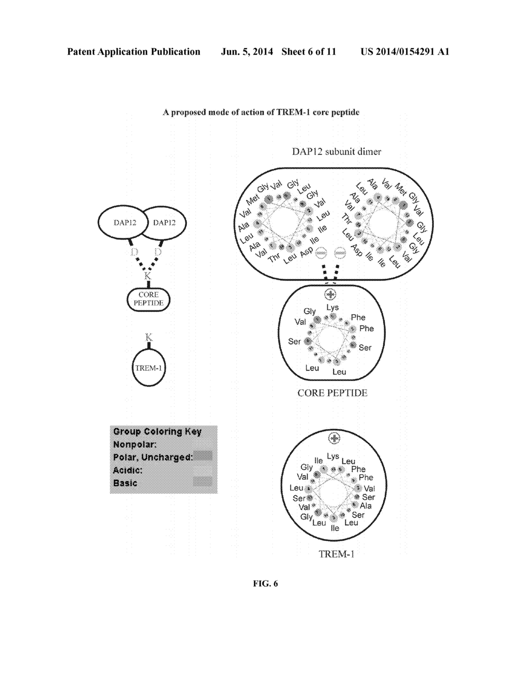 INHIBITION OF TREM RECEPTOR SIGNALING WITH PEPTIDE VARIANTS - diagram, schematic, and image 07