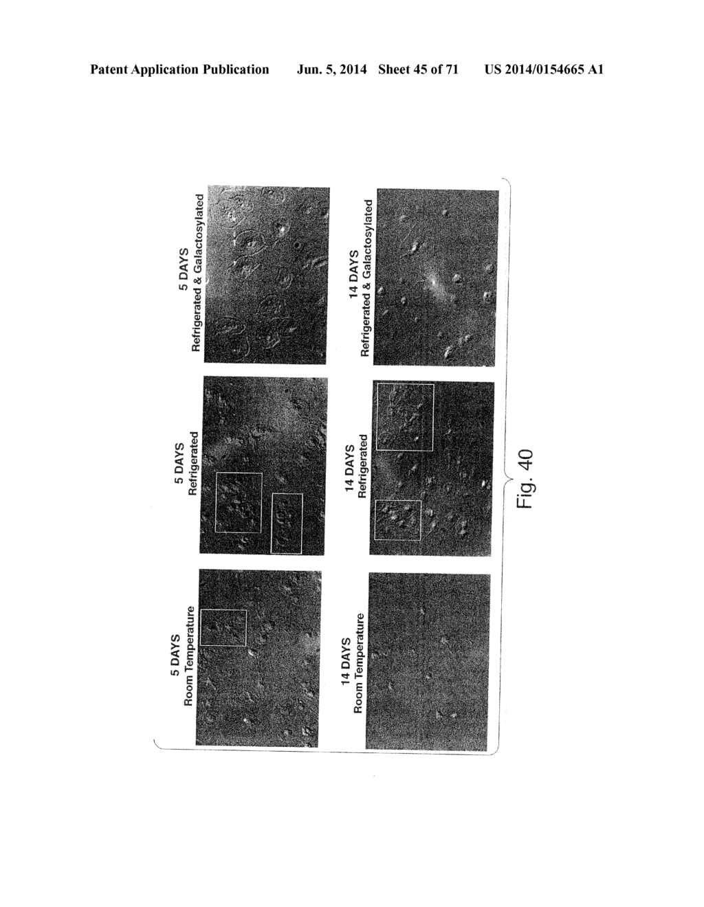 Apparatuses, Compositions, and Methods for Prolonging Survival of     Platelets - diagram, schematic, and image 46