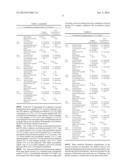 SOLID MATRIX FOR ONE STEP NUCLEIC ACID AMPLIFICATION diagram and image