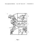 PROBES OF RNA STRUCTURE AND METHODS FOR USING THE SAME diagram and image