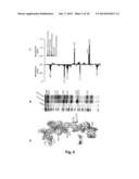 PROBES OF RNA STRUCTURE AND METHODS FOR USING THE SAME diagram and image