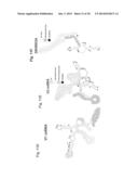 PROBES OF RNA STRUCTURE AND METHODS FOR USING THE SAME diagram and image