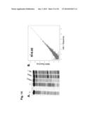 PROBES OF RNA STRUCTURE AND METHODS FOR USING THE SAME diagram and image