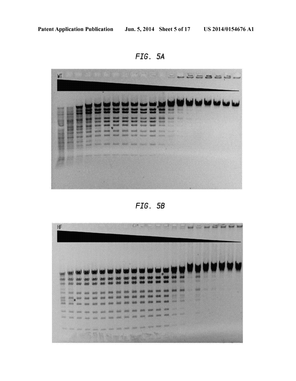 High Fidelity Restriction Endonucleases - diagram, schematic, and image 06