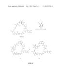 Compounds and Methods for Determination of FKBP-Binding Immunosuppressant     Drugs diagram and image