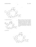 Compounds and Methods for Determination of FKBP-Binding Immunosuppressant     Drugs diagram and image