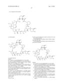 Compounds and Methods for Determination of FKBP-Binding Immunosuppressant     Drugs diagram and image