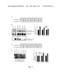 GLYCOPROTEIN CANCER BIOMARKER diagram and image