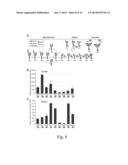 GLYCOPROTEIN CANCER BIOMARKER diagram and image