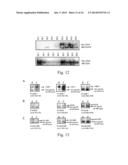 GLYCOPROTEIN CANCER BIOMARKER diagram and image