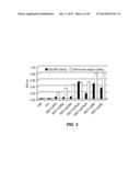 METHODS AND MATERIALS FOR ENHANCING FUNCTIONAL PROTEIN EXPRESSION IN     BACTERIA diagram and image