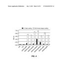 METHODS AND MATERIALS FOR ENHANCING FUNCTIONAL PROTEIN EXPRESSION IN     BACTERIA diagram and image