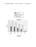 METHODS AND MATERIALS FOR ENHANCING FUNCTIONAL PROTEIN EXPRESSION IN     BACTERIA diagram and image