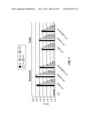 METHODS AND MATERIALS FOR ENHANCING FUNCTIONAL PROTEIN EXPRESSION IN     BACTERIA diagram and image