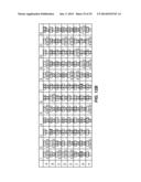 METHODS AND MATERIALS FOR ENHANCING FUNCTIONAL PROTEIN EXPRESSION IN     BACTERIA diagram and image