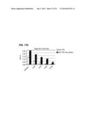 METHODS AND MATERIALS FOR ENHANCING FUNCTIONAL PROTEIN EXPRESSION IN     BACTERIA diagram and image