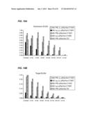 METHODS AND MATERIALS FOR ENHANCING FUNCTIONAL PROTEIN EXPRESSION IN     BACTERIA diagram and image