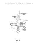 Compositions and Methods for Making Selenocysteine Containing Polypeptides diagram and image