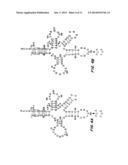 Compositions and Methods for Making Selenocysteine Containing Polypeptides diagram and image