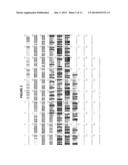 TESTOSTERONAN, A NOVEL HEPAROSAN ANALOG, TESTOSTERONAN SYNTHASE, AND     METHODS OF PRODUCTION AND USE THEREOF diagram and image